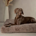 Scruffs Oxford Orthopaedic Mattress-Dog BED
