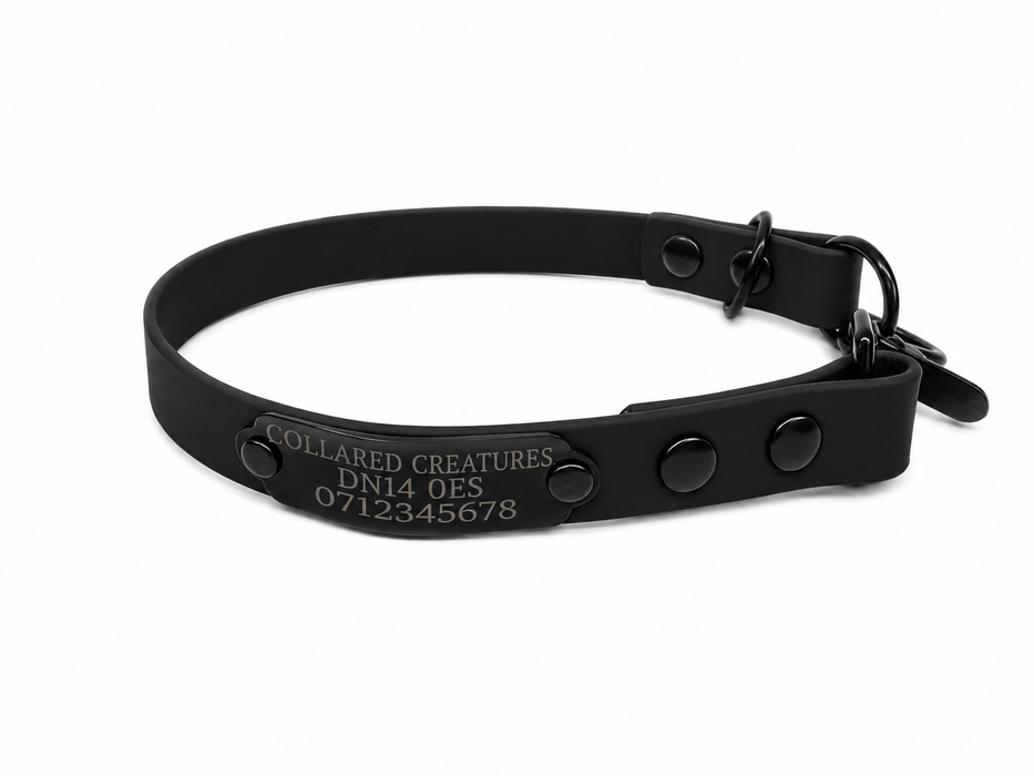 Black Waterproof Biothane Slip Dog Collar