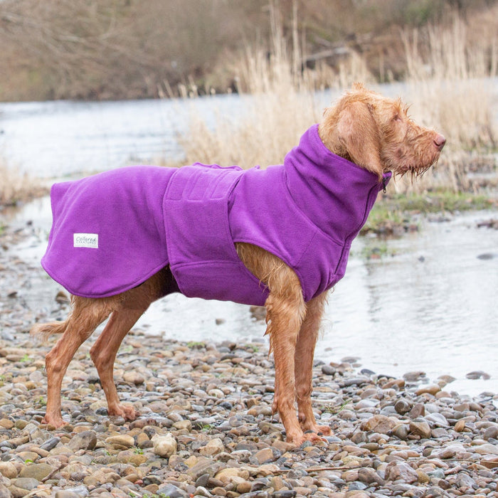 Collared Creatures - Perfectly Practical Dog Drying Coat - Available in 3 Colours