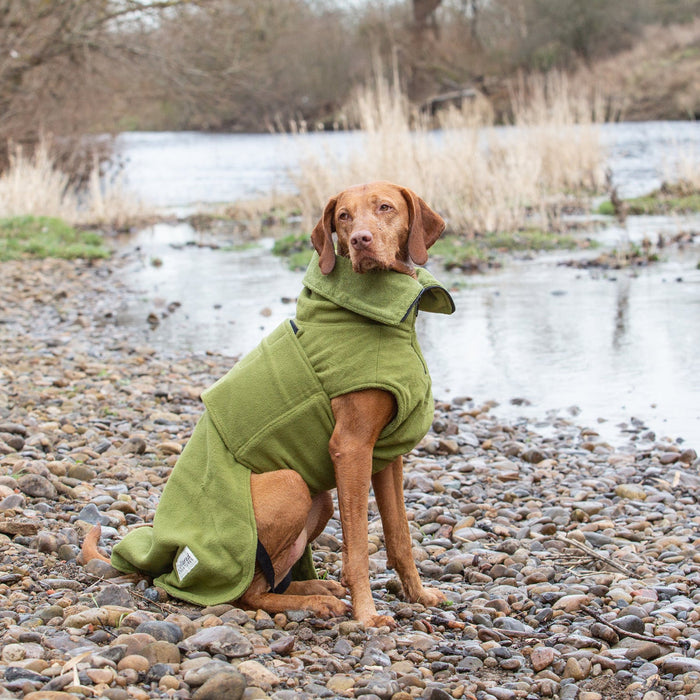 Collared Creatures - Perfectly Practical Dog Drying Coat - Available in 3 Colours