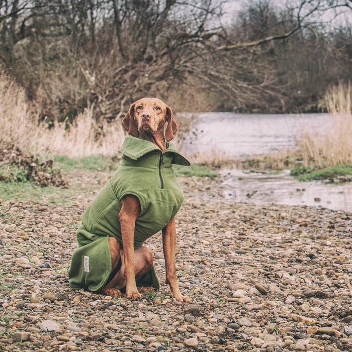 Collared Creatures - Perfectly Practical Dog Drying Coat - Available in 3 Colours
