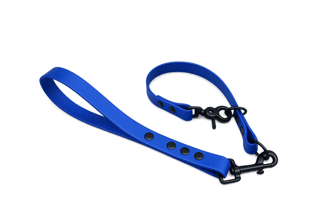 Electric Blue Waterproof Biothane Slip Dog Collar