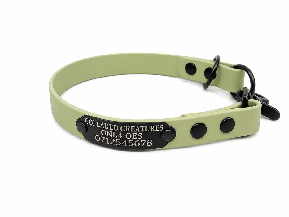 Guacamole Waterproof Biothane Slip Dog Collar