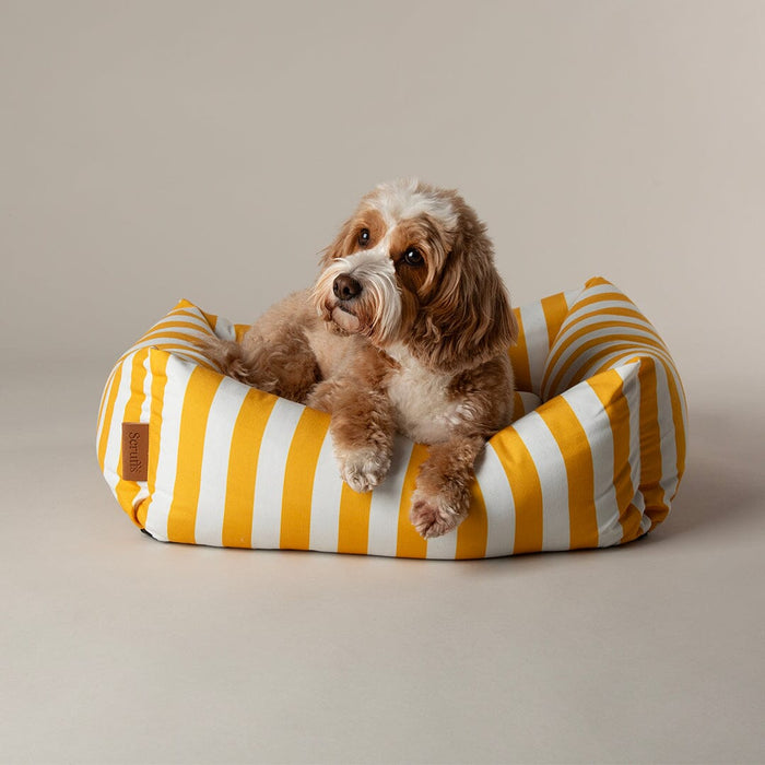 Scruffs® Amalfi Striped Box Bed - Yellow