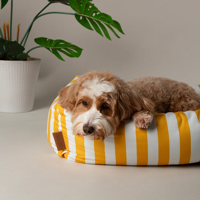 Scruffs® Amalfi Striped Box Bed - Yellow