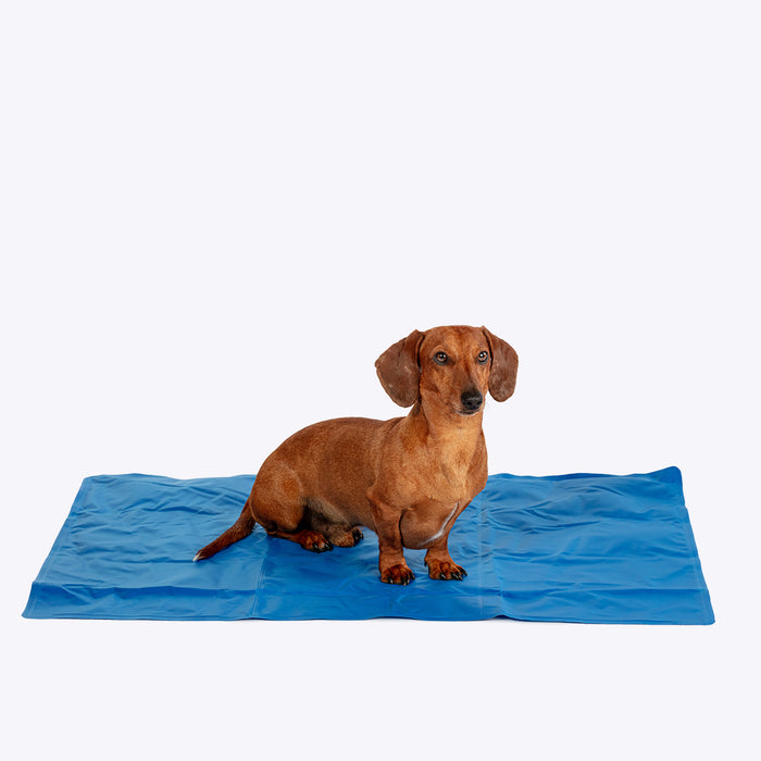 Pet Cooling Mattress