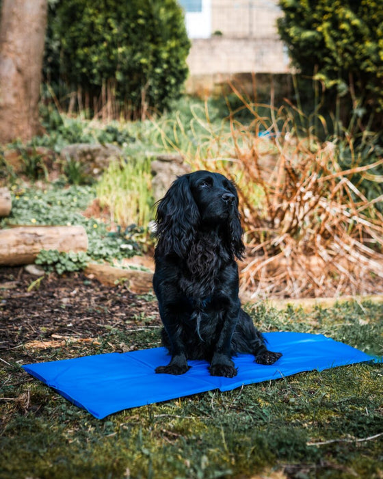 Pet Cooling Mattress