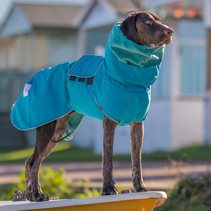Teal Superior Waterproof Dog Coat