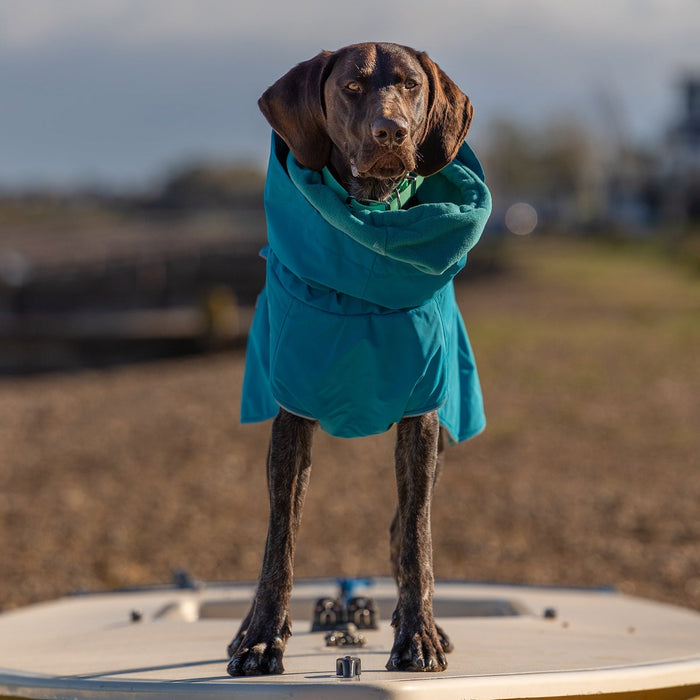 Teal Superior Waterproof Dog Coat
