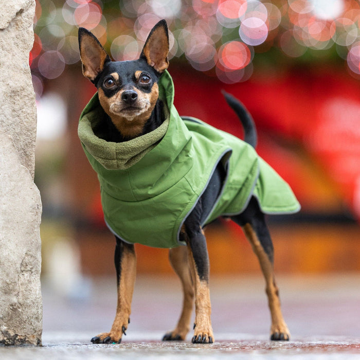 Green Superior Waterproof Dog Coat