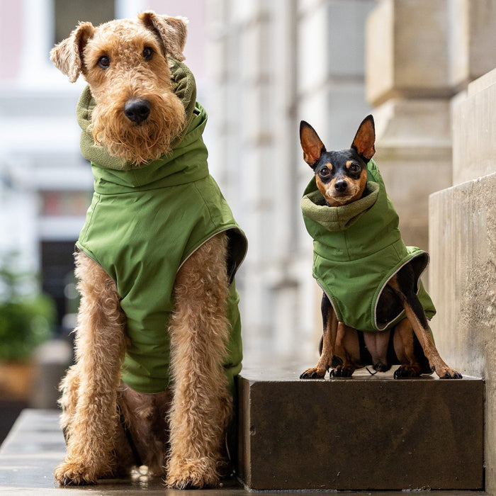Green Superior Waterproof Dog Coat