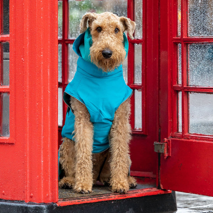 Teal Superior Waterproof Dog Coat