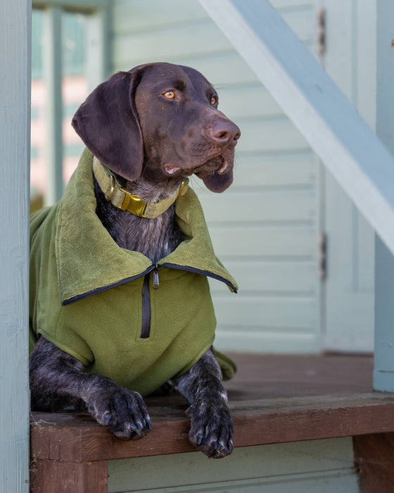 Collared Creatures - Perfectly Practical Dog Drying Coat - Available in 3 Colours