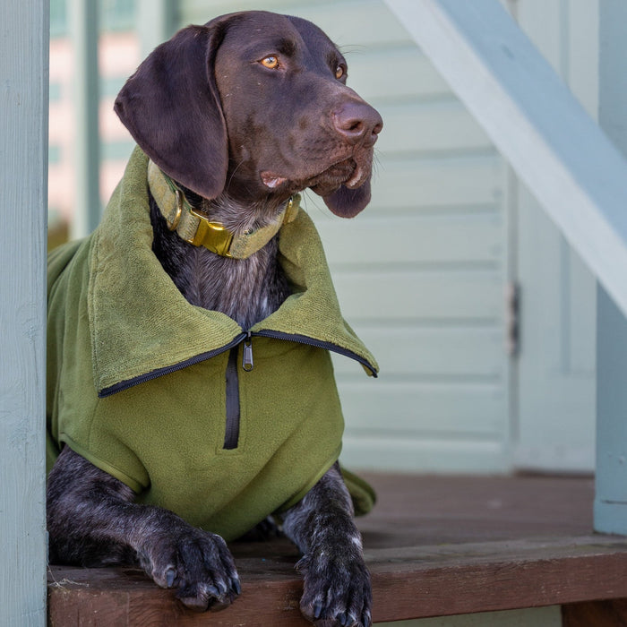 Green Superior Perfectly Practical Dog Drying Coat