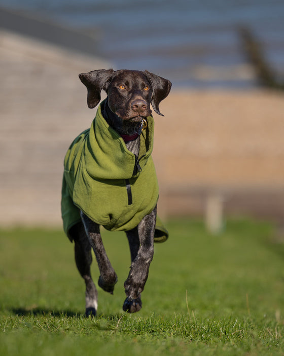 Collared Creatures - Perfectly Practical Dog Drying Coat - Available in 3 Colours