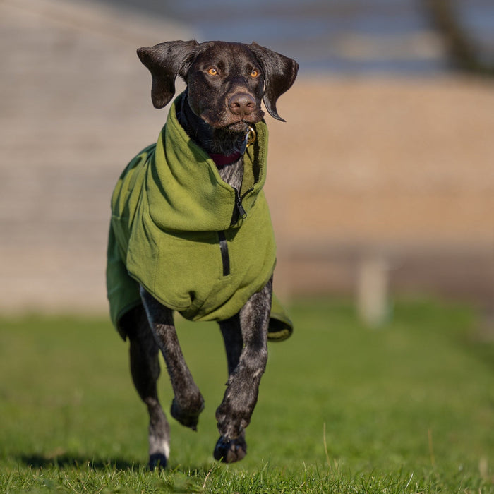Green Superior Perfectly Practical Dog Drying Coat