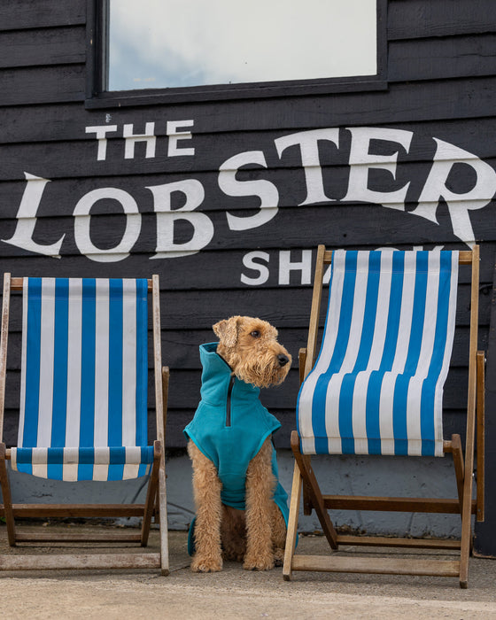 Collared Creatures - Perfectly Practical Dog Drying Coat - Available in 3 Colours