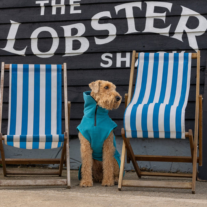 Collared Creatures - Perfectly Practical Dog Drying Coat - Available in 3 Colours