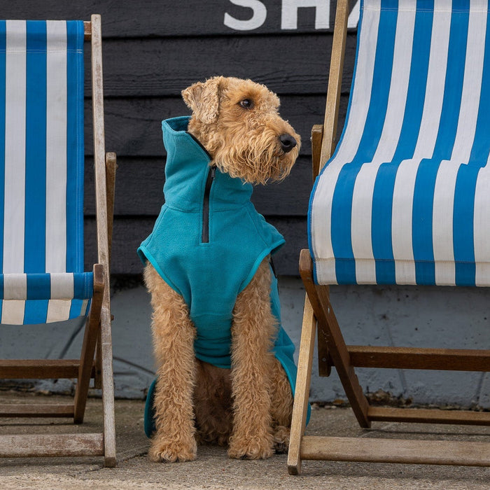 Teal Superior Perfectly Practical Dog Drying Coat