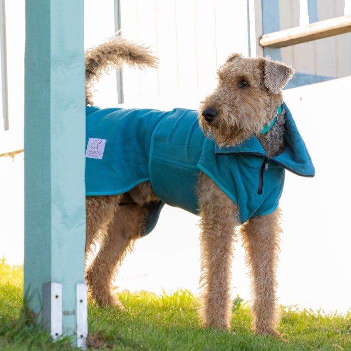 Teal Superior Perfectly Practical Dog Drying Coat