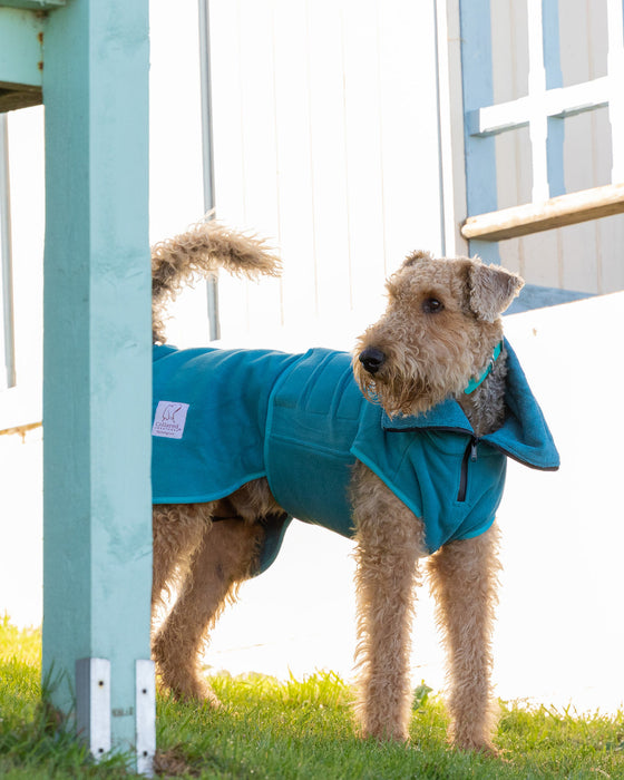 Collared Creatures - Perfectly Practical Dog Drying Coat - Available in 3 Colours