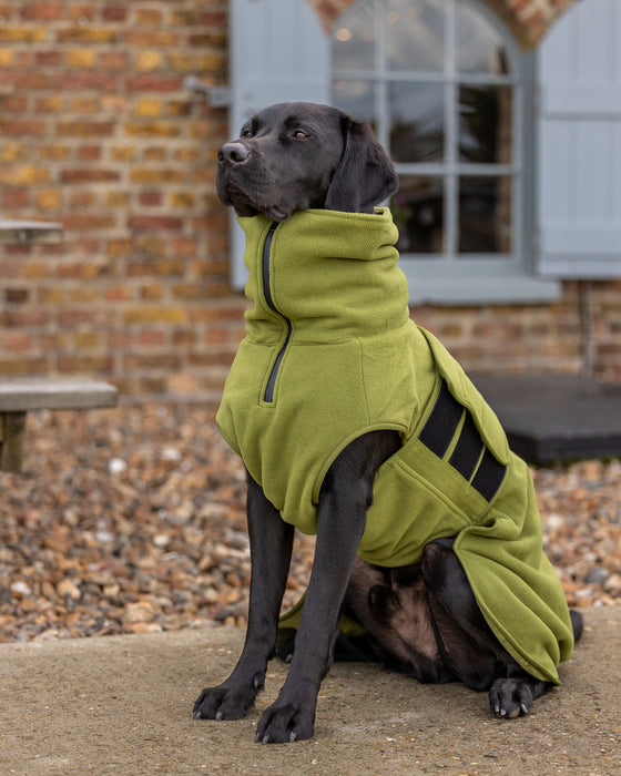 Collared Creatures - Perfectly Practical Dog Drying Coat - Available in 3 Colours