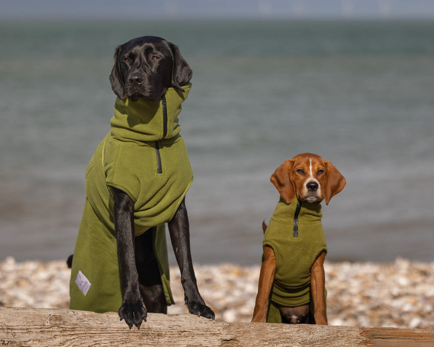 Collared Creatures - Perfectly Practical Dog Drying Coat - Available in 3 Colours