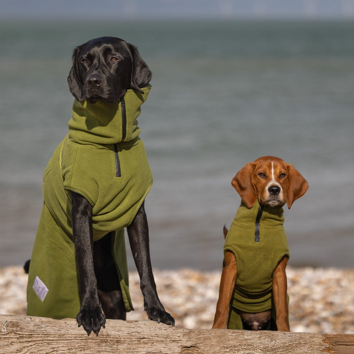 Green Superior Perfectly Practical Dog Drying Coat