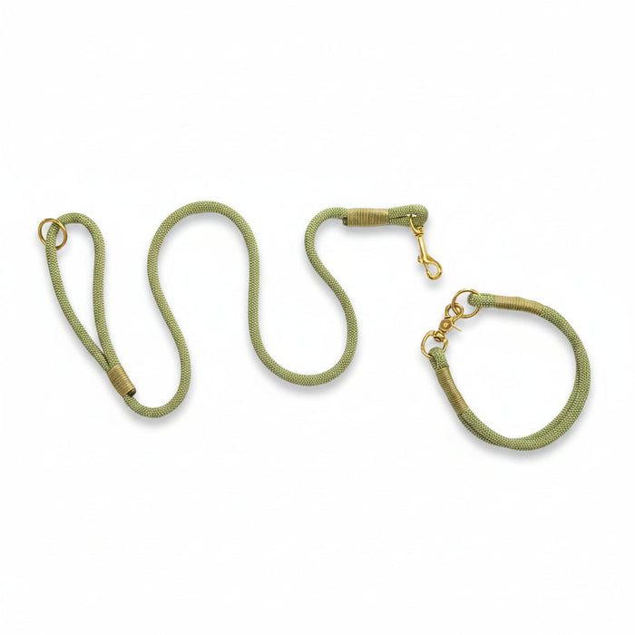 Holy Guacamole Handmade Rope Dog Collar with whipping