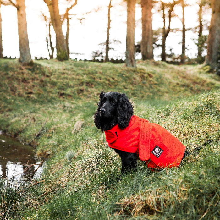 Dog Robe Towelling