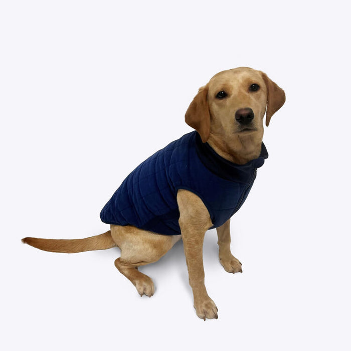 FatFace Harley Puffer Jacket