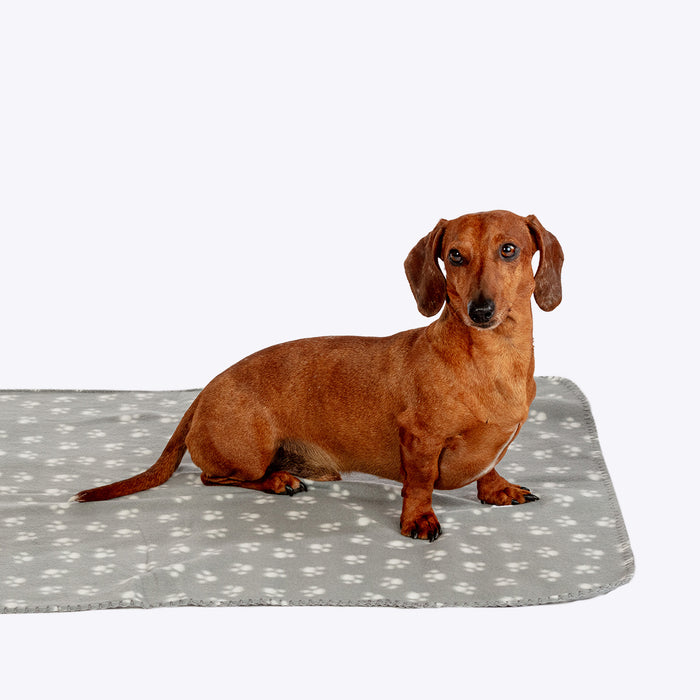 Danish Essentials Blanket Polar