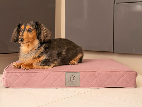 Collared Creatures Pink Velour Luxury Mattress Dog Bed