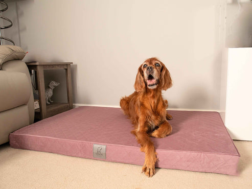 Collared Creatures Pink Velour Luxury Mattress Dog Bed