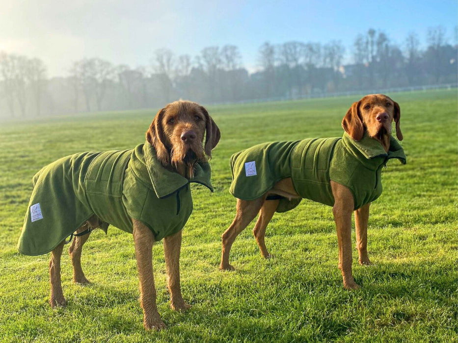 Collared Creatures - Perfectly Practical Dog Drying Coat - Available in 3 Colours
