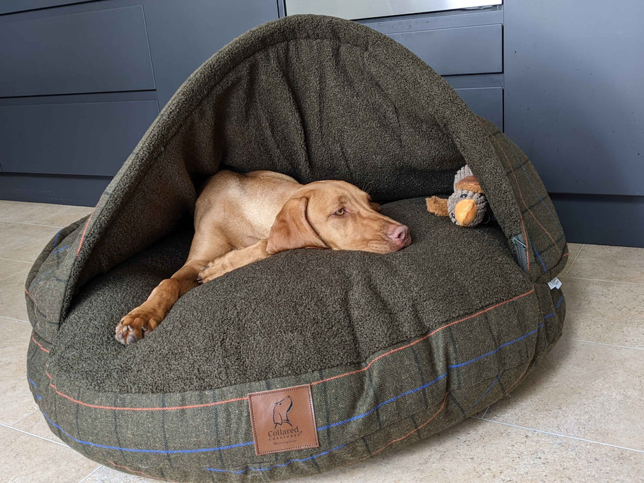 Green Tweed Luxury Dog Cave Bed with Removable Firm Hood