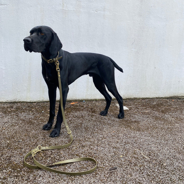 Loki Multiway Dog Lead in Khaki & Brown