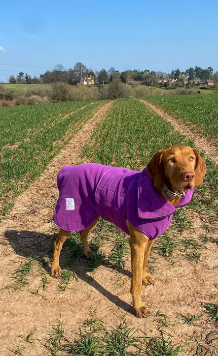 Collared Creatures - Perfectly Practical Dog Drying Coat - Available in 3 Colours