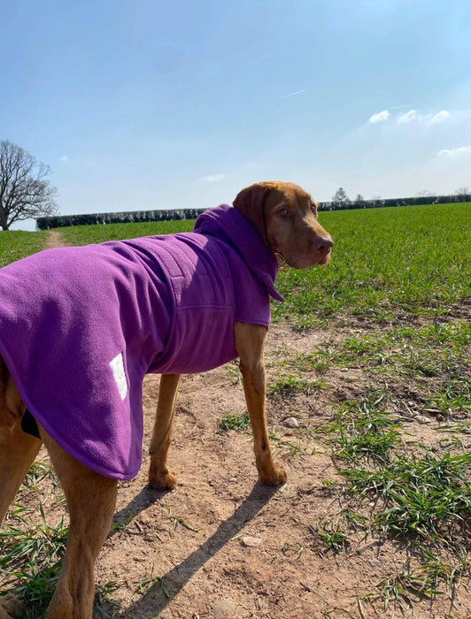 Collared Creatures - Perfectly Practical Dog Drying Coat - Available in 3 Colours
