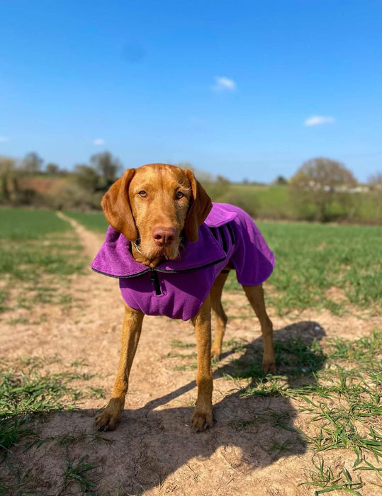 Collared Creatures - Perfectly Practical Dog Drying Coat - Available in 3 Colours