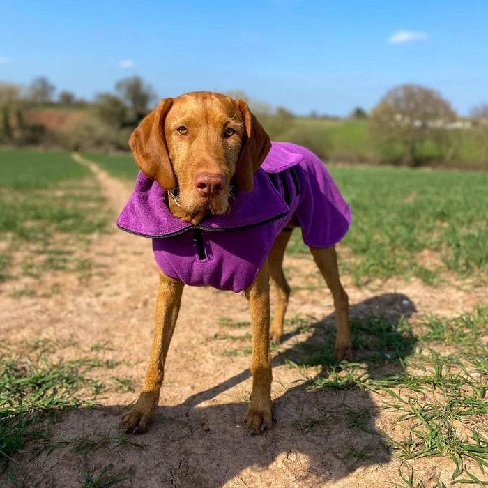 Magenta Superior Perfectly Practical Dog Drying Coat