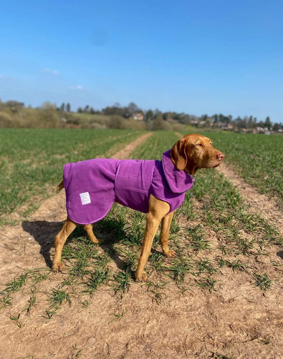 Collared Creatures - Perfectly Practical Dog Drying Coat - Available in 3 Colours