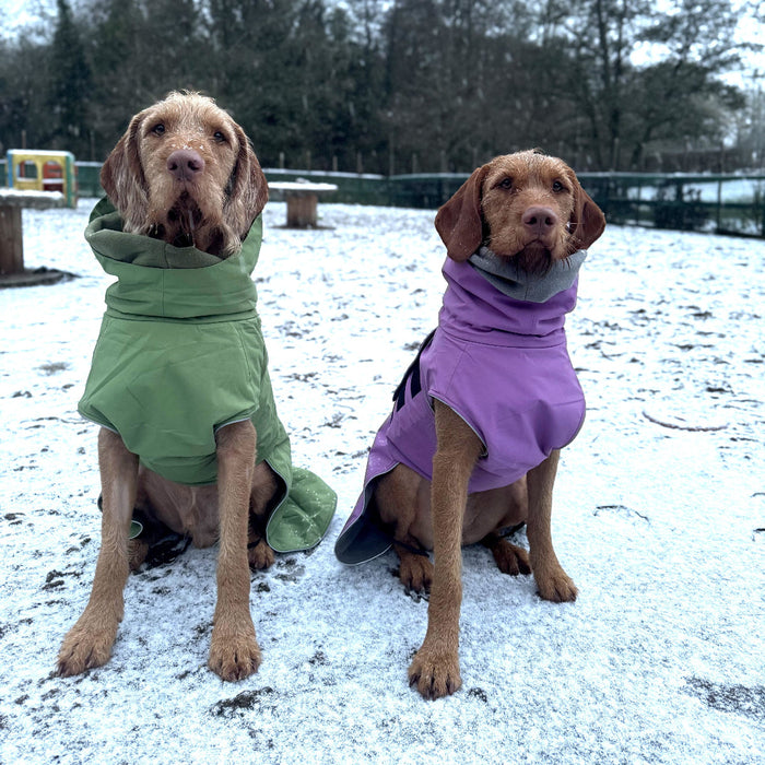 Green Superior Waterproof Dog Coat