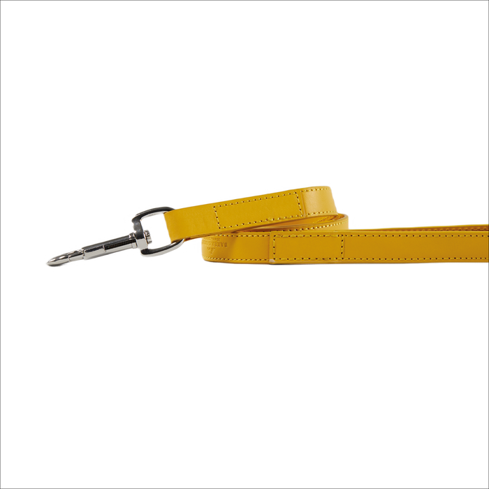 Eco Friendly Leather Dog Lead, Lemon