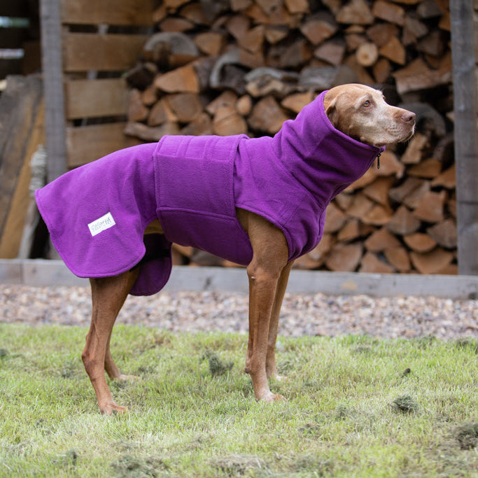 Collared Creatures - Perfectly Practical Dog Drying Coat - Available in 3 Colours