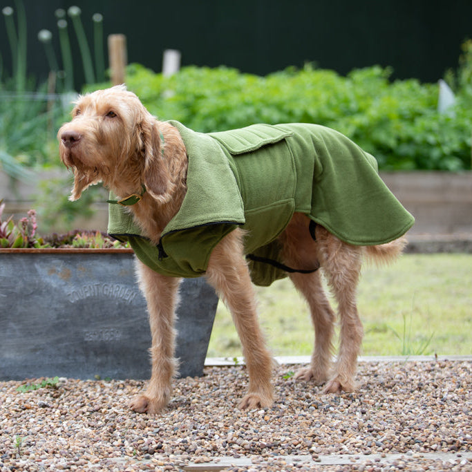 Collared Creatures - Perfectly Practical Dog Drying Coat - Available in 3 Colours