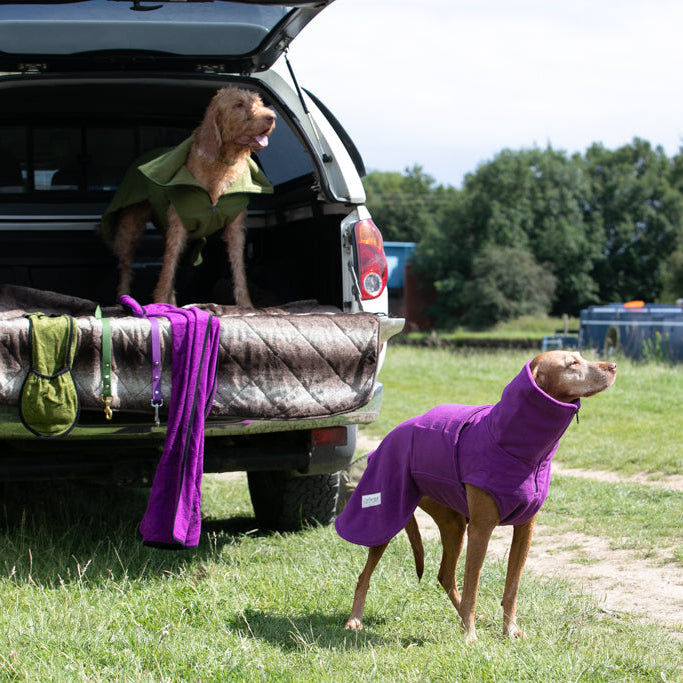 Collared Creatures - Perfectly Practical Dog Drying Coat - Available in 3 Colours