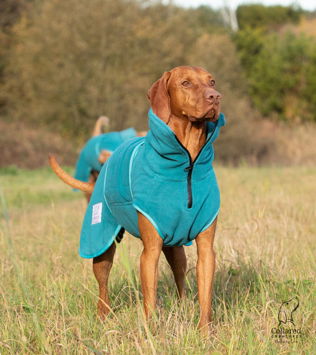 Collared Creatures - Perfectly Practical Dog Drying Coat - Available in 3 Colours