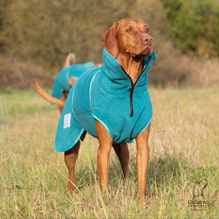 Teal Superior Perfectly Practical Dog Drying Coat