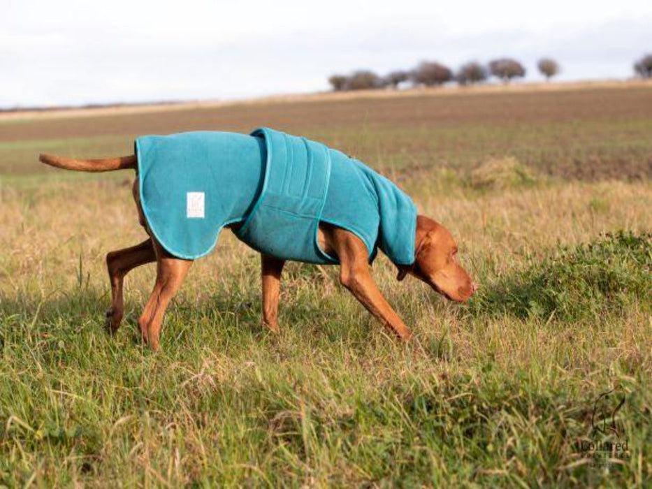 Collared Creatures - Perfectly Practical Dog Drying Coat - Available in 3 Colours